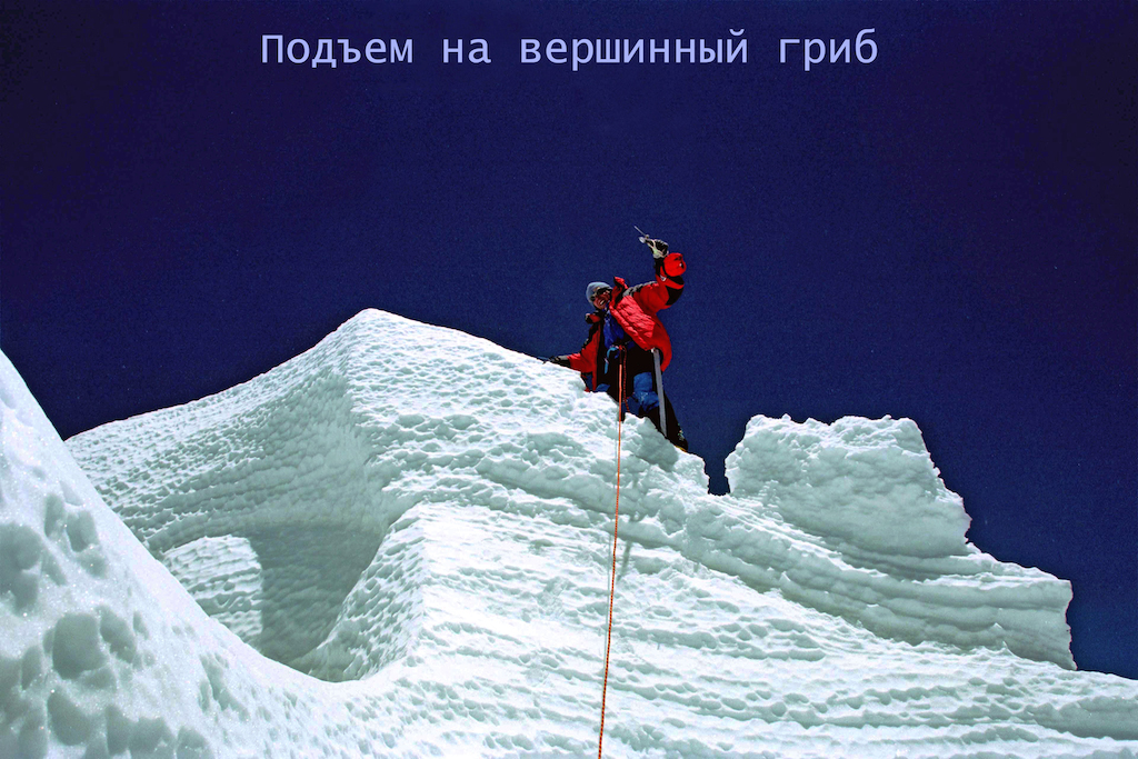 کوهنوردی 