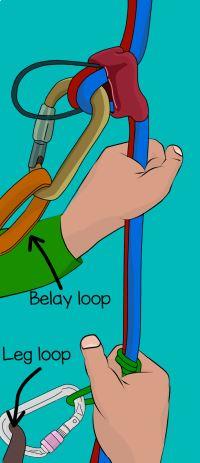 فرود Abseiling - rappelling یک روش ساده برای پایین آمدن روی طناب می باشد. شما می توانید در برخی از صعودها با پیاده روی به پایین بازگردید ، اما در بسیاری از شرایط این امکان پذیر نیست.