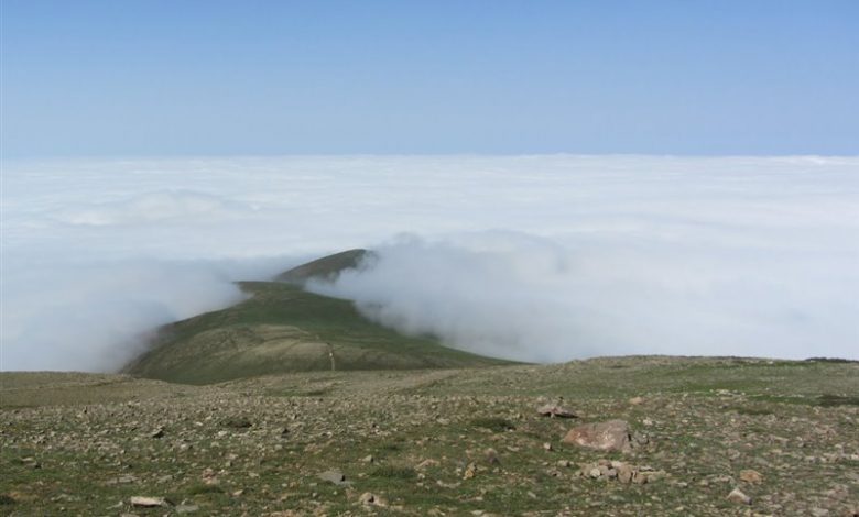 سماموس