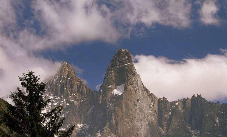 سوزنی درو