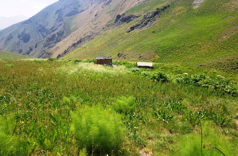 صعود به آزاد کوه از وارنگه رود