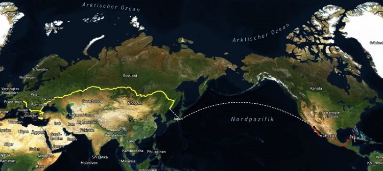 به احتمال زیاد 5060 کیلومتر دویدن در 117 روز به نظرتان چیز عجیبی برسد، اما باور کنید یا نه، این تنها قسمتی از سه گانه یوناس دایچمن به دور دنیا بود!