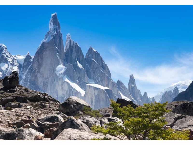 صخره‌های پوشیده از یخ و برف و همچنین شیب 3128 متری کوه سرو توره در آرژانتین صعود به قله آن را بسیار چالش برانگیز کرده است. این موانع باعث می‌شود که کوهنوردی در سرو توره تنها برای حرفه ای‌ترین کوهنوردان دنیا مانند دیوید لاما امکان پذیر باشد، زیرا به بالاترین سطح مهارت‌های کوهنوردی نیاز دارد که این کوه را به یکی از عجیب‌ترین کوه‌های جهان تبدیل می‌کند. قله یک قارچ غول‌پیکر از یخ ریم است که توسط بادهای قوی معروف پاتاگونیا تشکیل شده است و رسیدن به آن را حتی دشوارتر می‌کند.