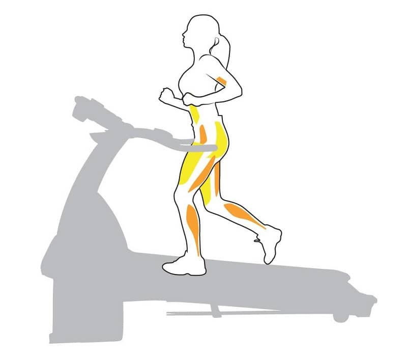 دویدن روی تردمیل با شیب یکی از روش های تمرین در باشگاه است که با اهداف گوناگونی به کار برده می شود. از افزایش استقامت تا کاهش وزن و افزایش استقامت عضلانی ویژگی شیب تردمیل می تواند مفید واقع شود با این حال توجه به برخی نکات در این رابطه لازم است. در ادامه به ذکر این موارد خواهیم پرداخت.
