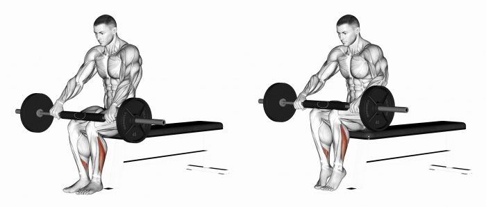 رشد عضلات و بدنسازی ساق پا یکی از سختترین بخش ها در تمرینات عضله سازی محسوب می شود. دلیل این موضوع هم این است که عضلات ساق در طول روز در حال فعالیت هستند و همین موضوع تمرین دادن آنها را دشوار می کند. شما با هر قدمی که بر میدارید در حال کار کردن روی این عضلات هستید. برخلاف چهارسر که برای حرکات پیاده روی نیز استفاده می شود، ساق پا یک گروه عضلانی بسیار کوچکتر است.