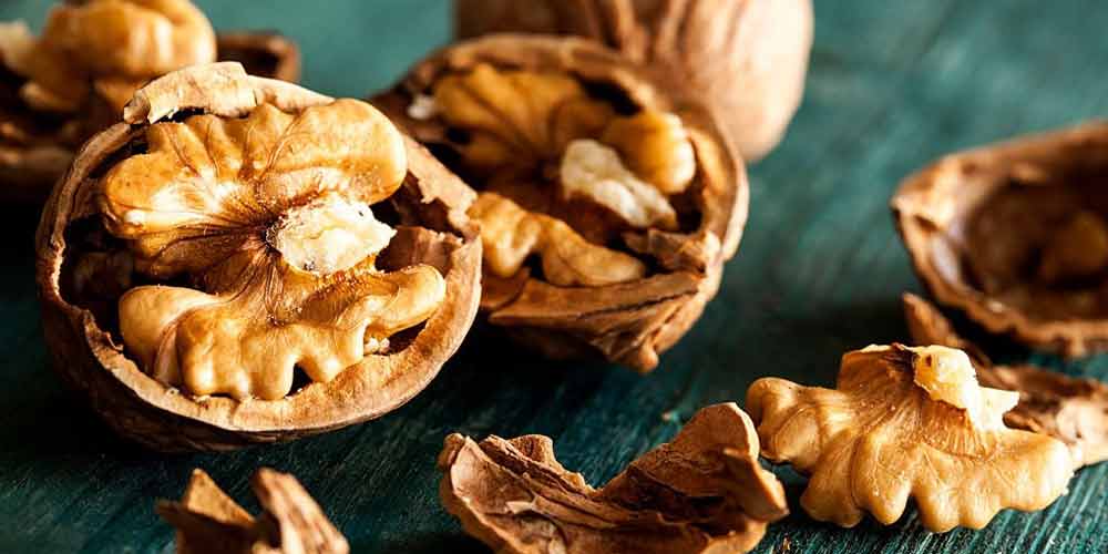 فواید گردو برای بدنسازی