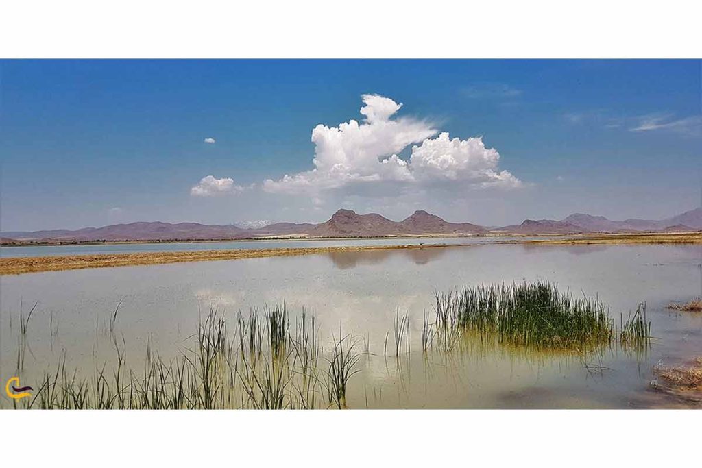 راهنمای طبیعت گردی و کمپینگ در همدان 70 تالاب آق گل