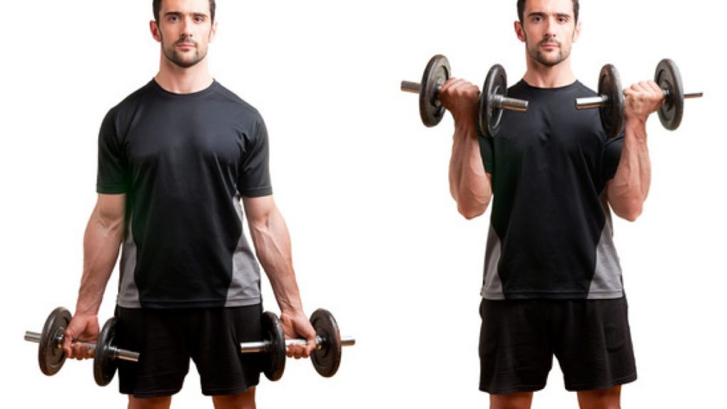 standing bicep dumbbell curl photo 1280x720 1 1024x576 1