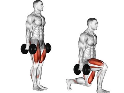 static dumbbell lunges muscles worked