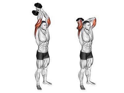 triceps overhead dumbbell extension muscles worked