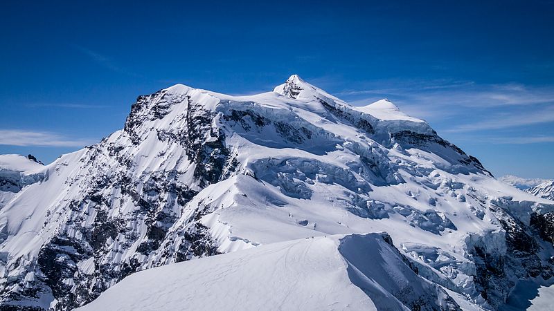 Grand Combin from the Tournelon Blanc