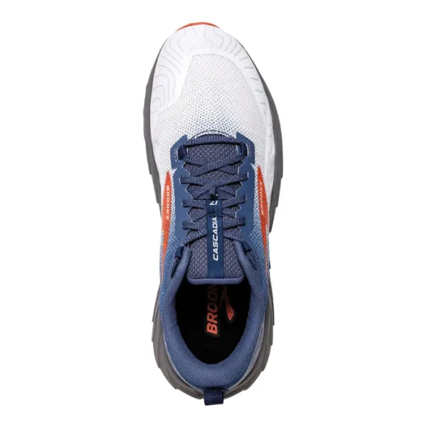 کفش بروکس کاسکادیا 17 Brooks Cascadia