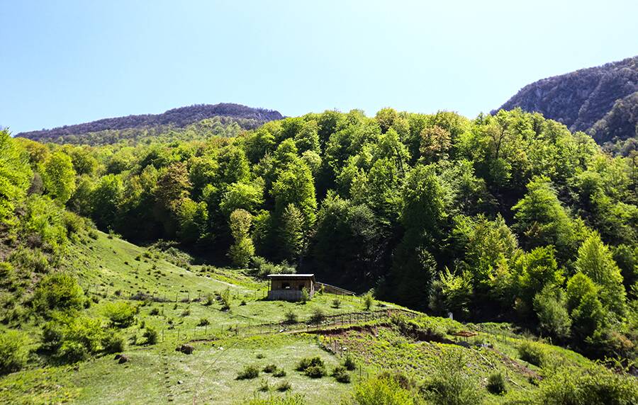 روستای زیارت؛ جاذبه‌ها و راهنمای سفر به این منطقه دیدنی