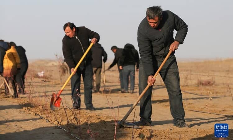 صحرای تکله‌ مکان ؛ همه چیز درباره سرزمین بی‌بازگشت