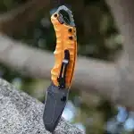1_org_zoom (2)