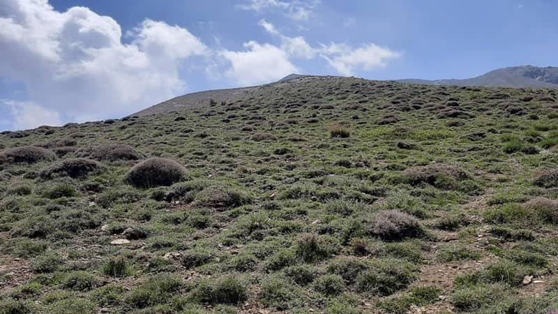 قله پورا: معرفی، راهنمای صعود و درجه سختی