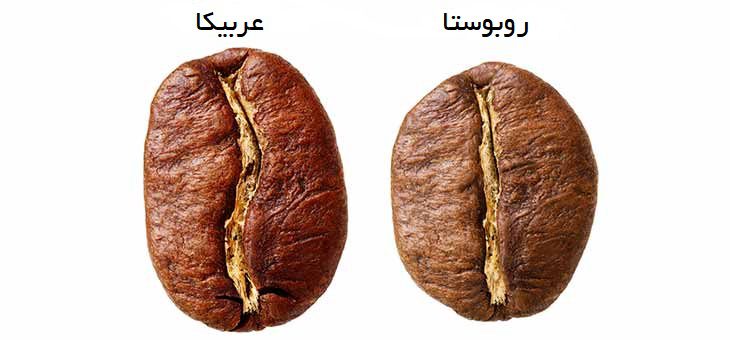 عربیکا یا روبوستا: کدام قهوه برای ورزشکاران بهتر است؟