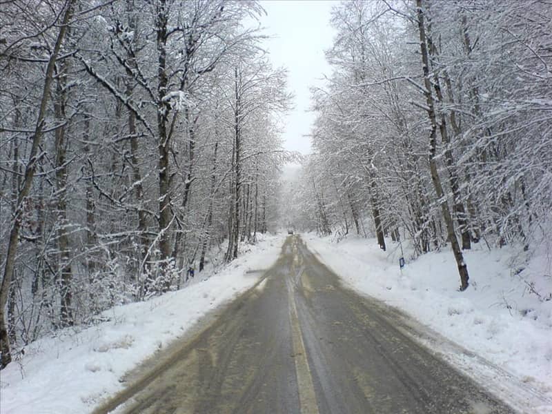 روستای یخکش کجاست؟ سفر به یک بهشت پنهان در مازندران