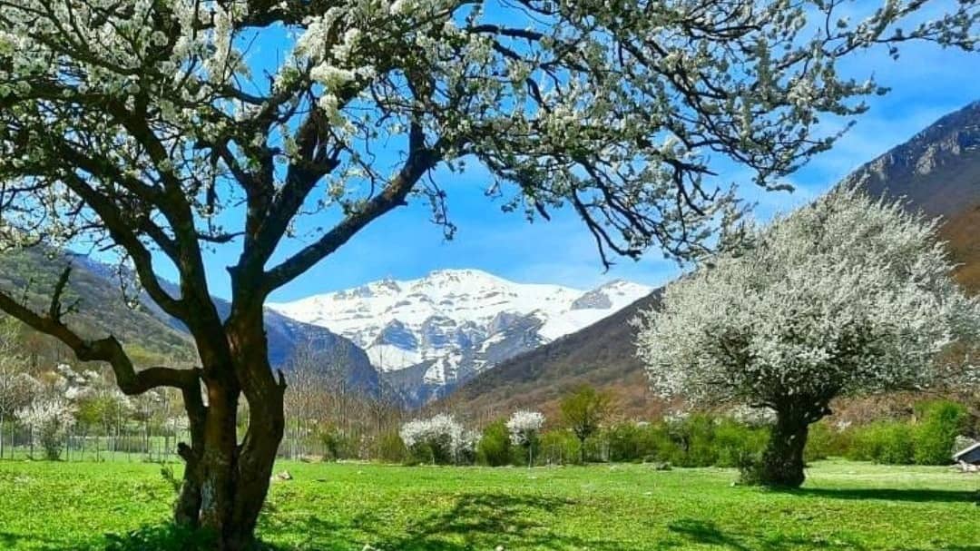 دهکده گردشگری زانوس: آلپ کوچک در دل مازندران