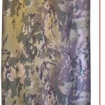 71SBY+O5fEL._AC_SX569_