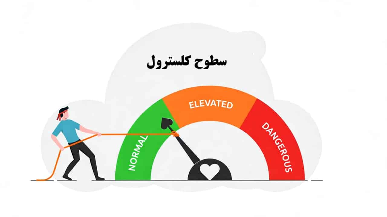 دویدن و کلسترول