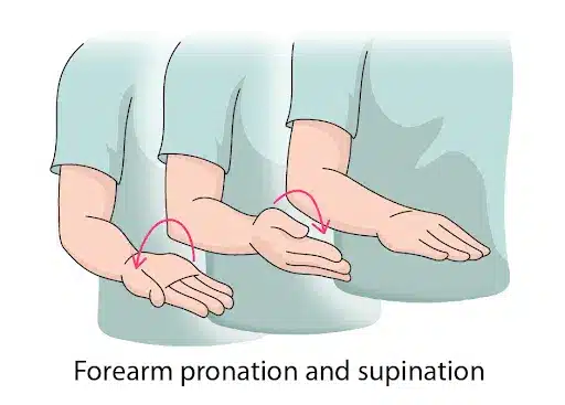 گلفر اِلْبو یا درد داخلی آرنج: راهنمای حرفه ای علل، درمان و ورزش