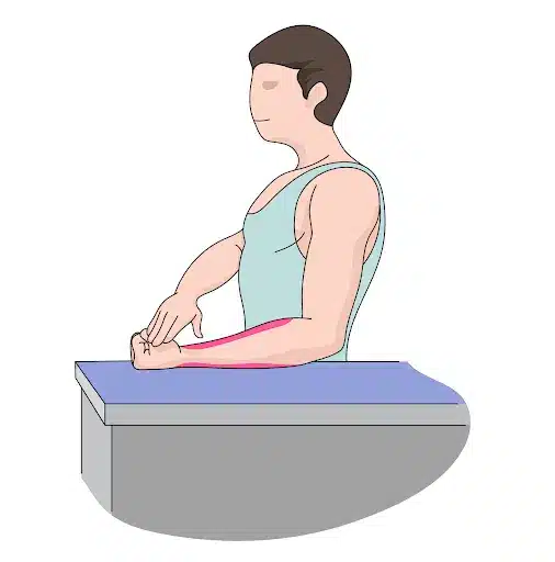 گلفر اِلْبو یا درد داخلی آرنج: راهنمای حرفه ای علل، درمان و ورزش