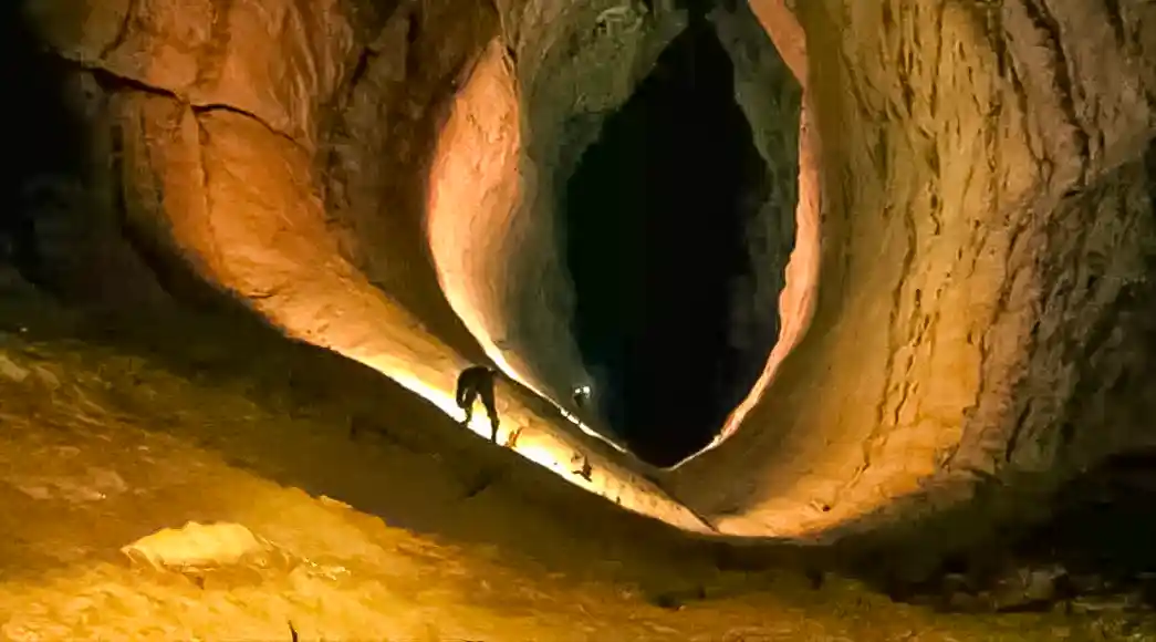 رویا، بدون هزینه، توهم است؛ نگاهی به زندگی لیلا اسفندیاری