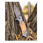 photo_2025-02-12_17-05-06 (2)