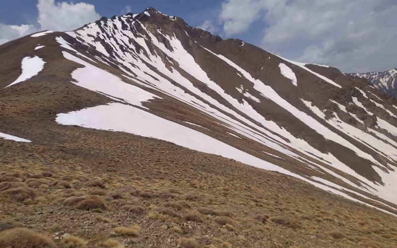 1756617014717169243989423342