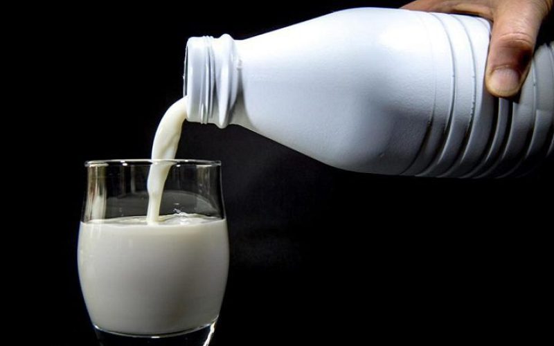 آیا لبنیات باعث لاکتیکی شدن بدن ورزشکاران می شود؟