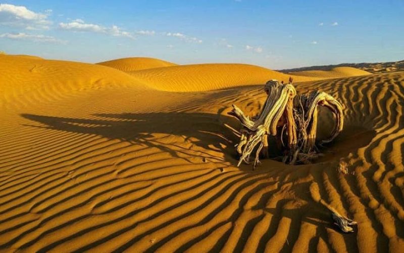 1_MNwp98lJLSP_qhApLd0mjA (1)