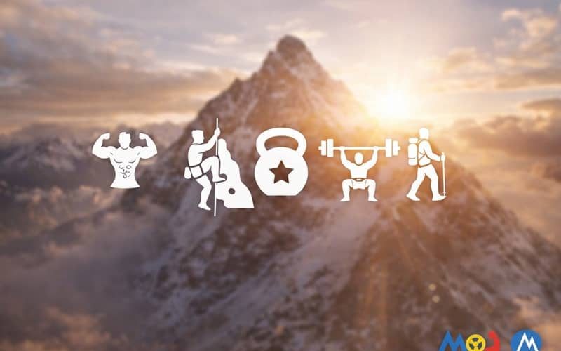 1a3e5fe6-dd9a-4f11-9e2f-465c1fa5a81d (1)