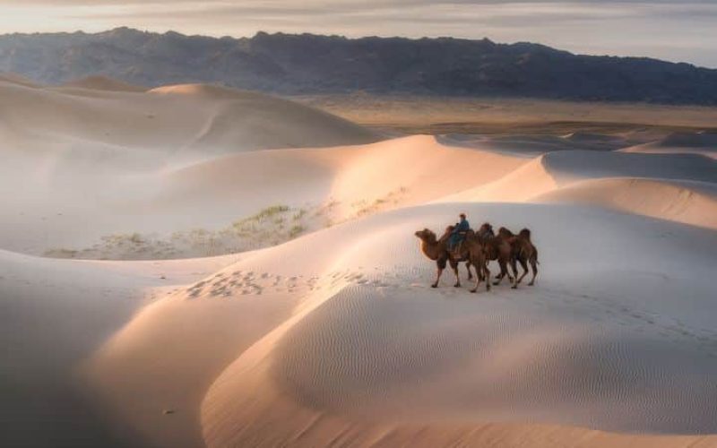 230327161010-01-mongolia-reasons-to-visit-2023-gobi