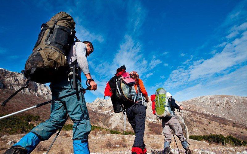 231-entry-0-1594263749