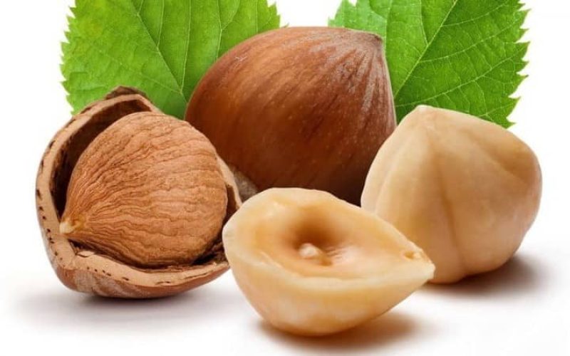 Hazelnut for workout