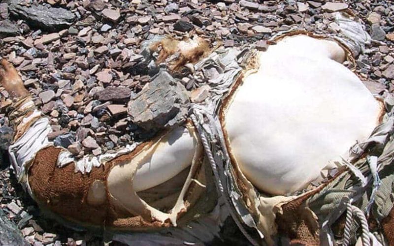 اجساد کوه اورست