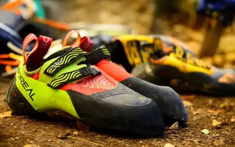 boreal_synergy_review1_1600x