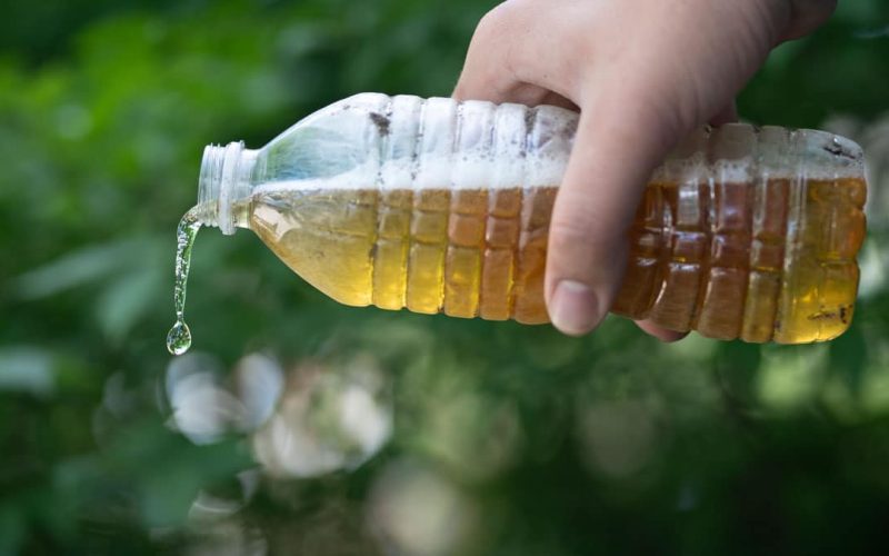 drink-urine-survival