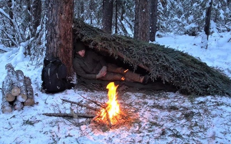 بقا در طبیعت