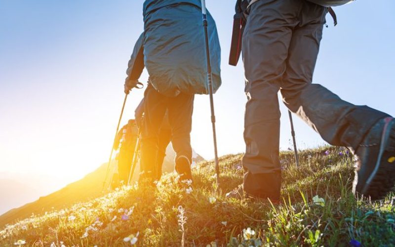 استایل طبیعت گردی