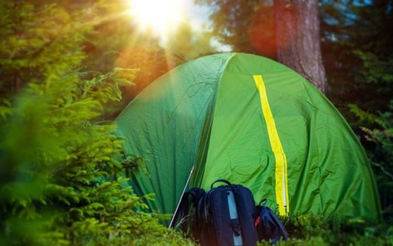 کمپینگ در جنگل