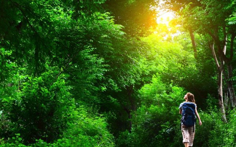 پیاده روی ژاپنی