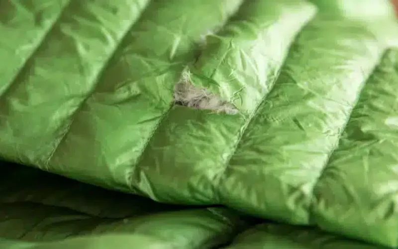 van_dragt_112917_0060_hero_lg_1