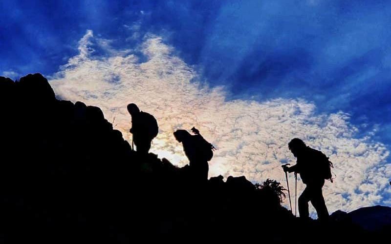 استارت-آلپی